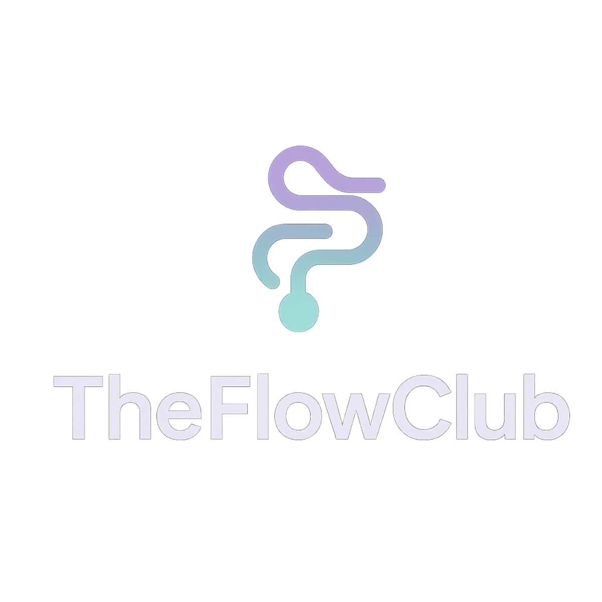 TheFlowClub